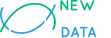 New Vision Data company logo